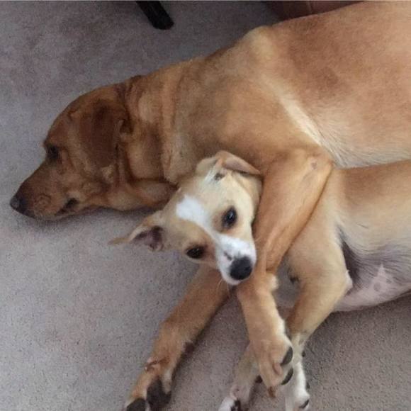 Meet your Posher, Patty - Picture 1 of 1